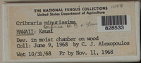 Image Associated With the Occurence
